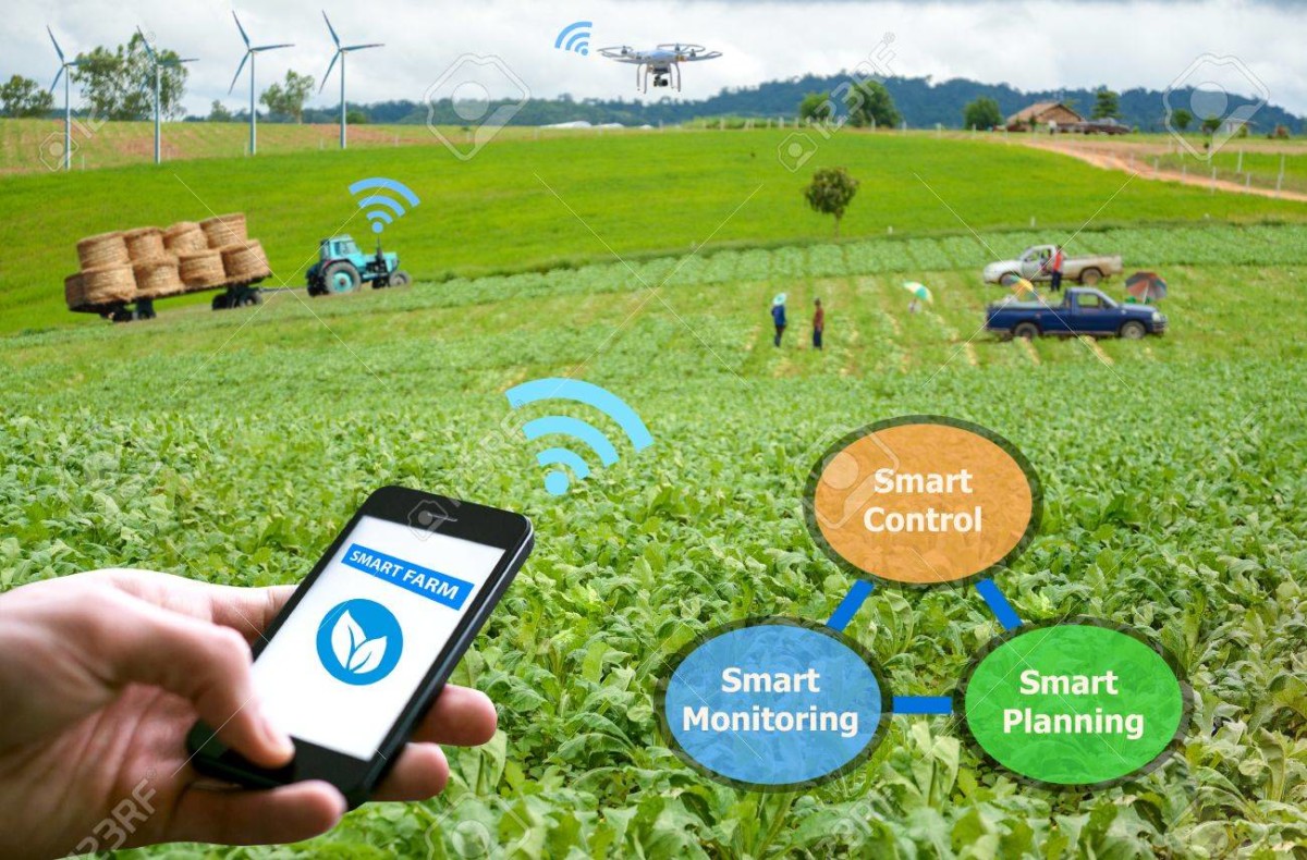 71979868 smart farming hi tech agriculture concept